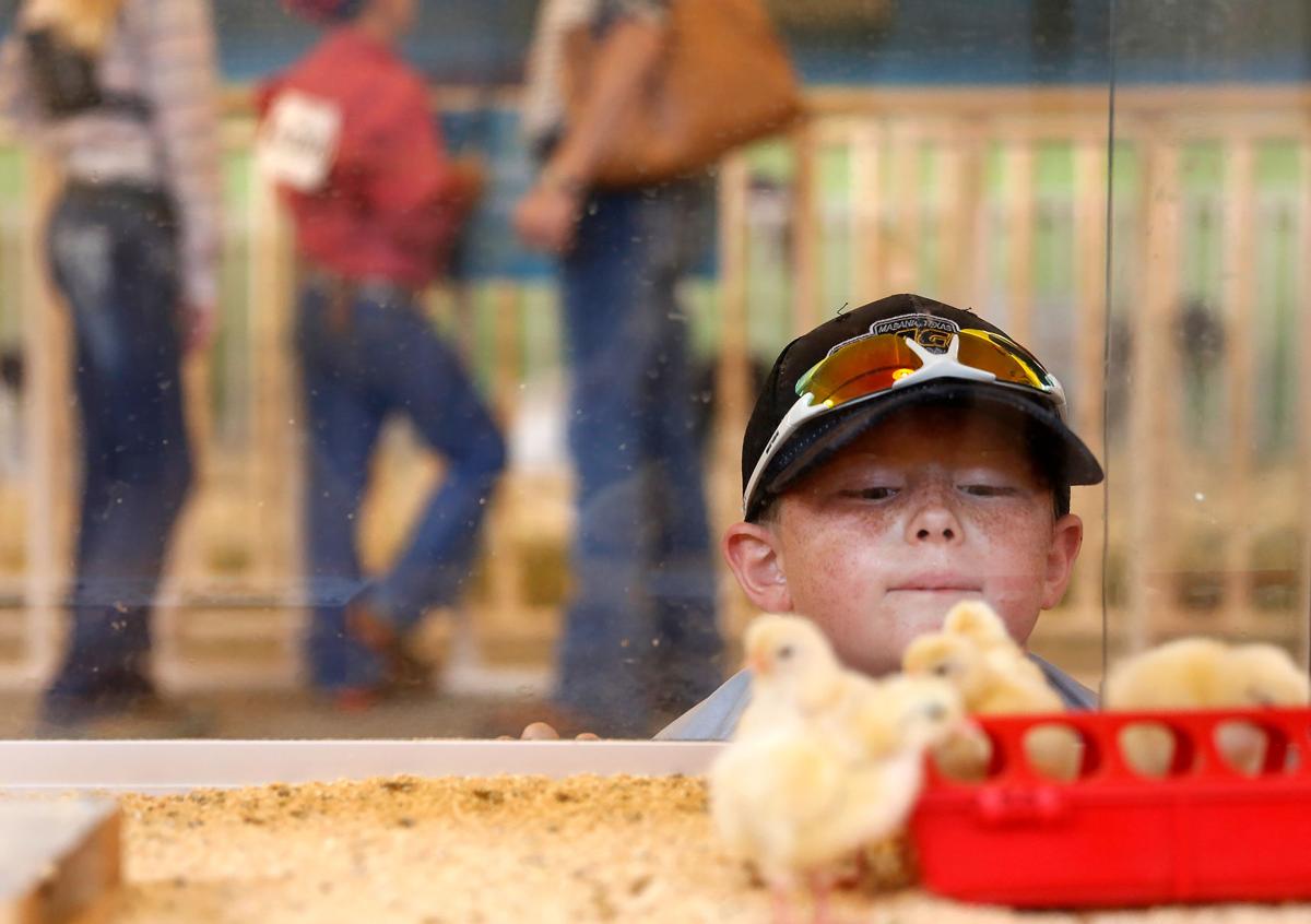 Photos: Family and friends find fun at State Fair of Texas