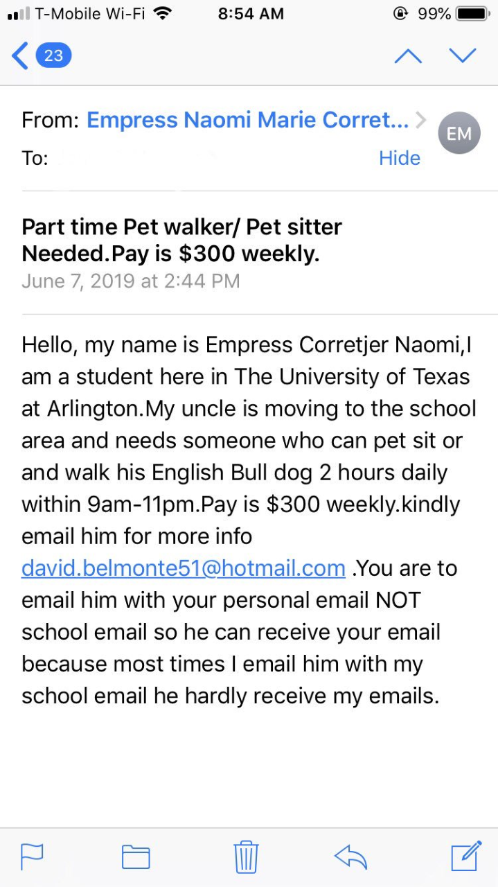 dog walker sitter