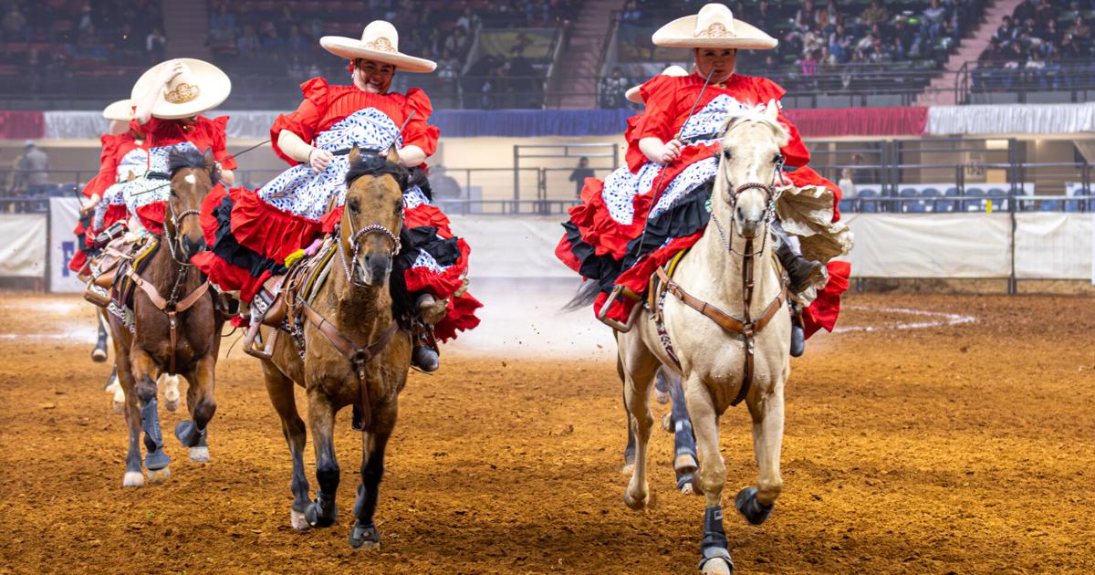 Escaramuza riders bring Mexican culture to the Fort Worth Stock Show ...