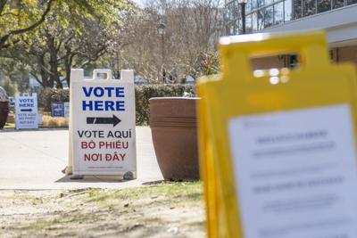 How to vote in the 2024 primary elections | News | theshorthorn.com