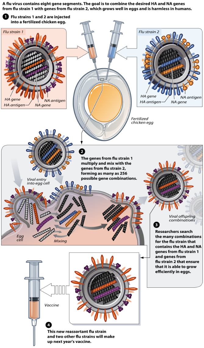 Don't Let the Flu Catch You, Perspectives