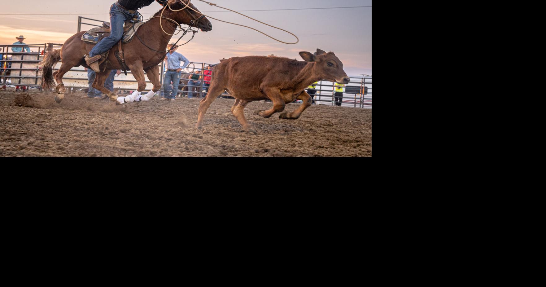 Adrenaline junkies: Rodeo competitors defy gravity at a favorite state fair event