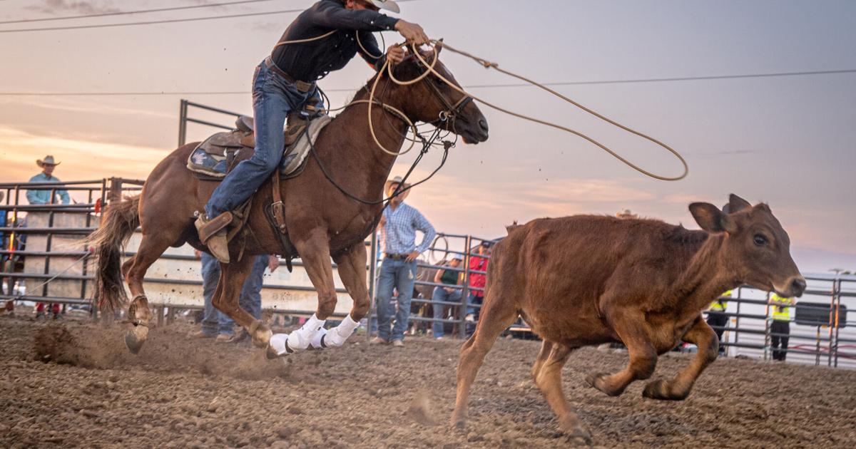 Adrenaline junkies: Rodeo competitors defy gravity at a favorite state fair event