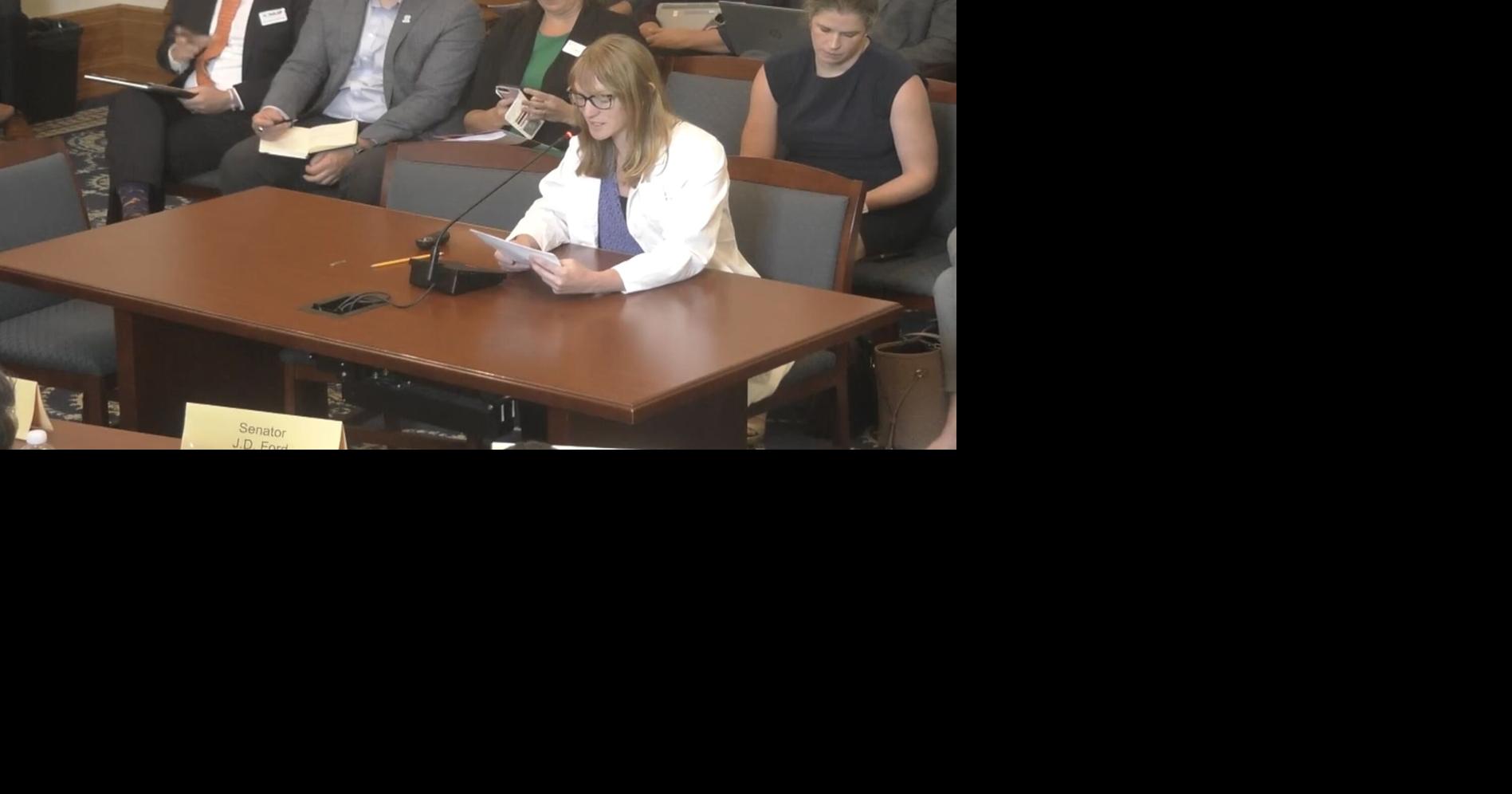 Interim study committee discusses expanding postpartum care for Hoosier women | Politics