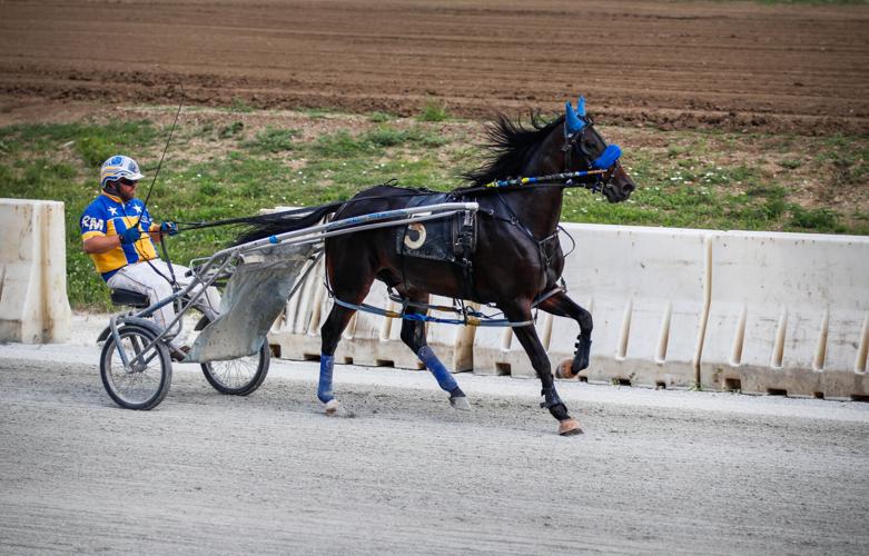 Rock My Memory, Good As You, Fifty to Win—harness racers at the state ...