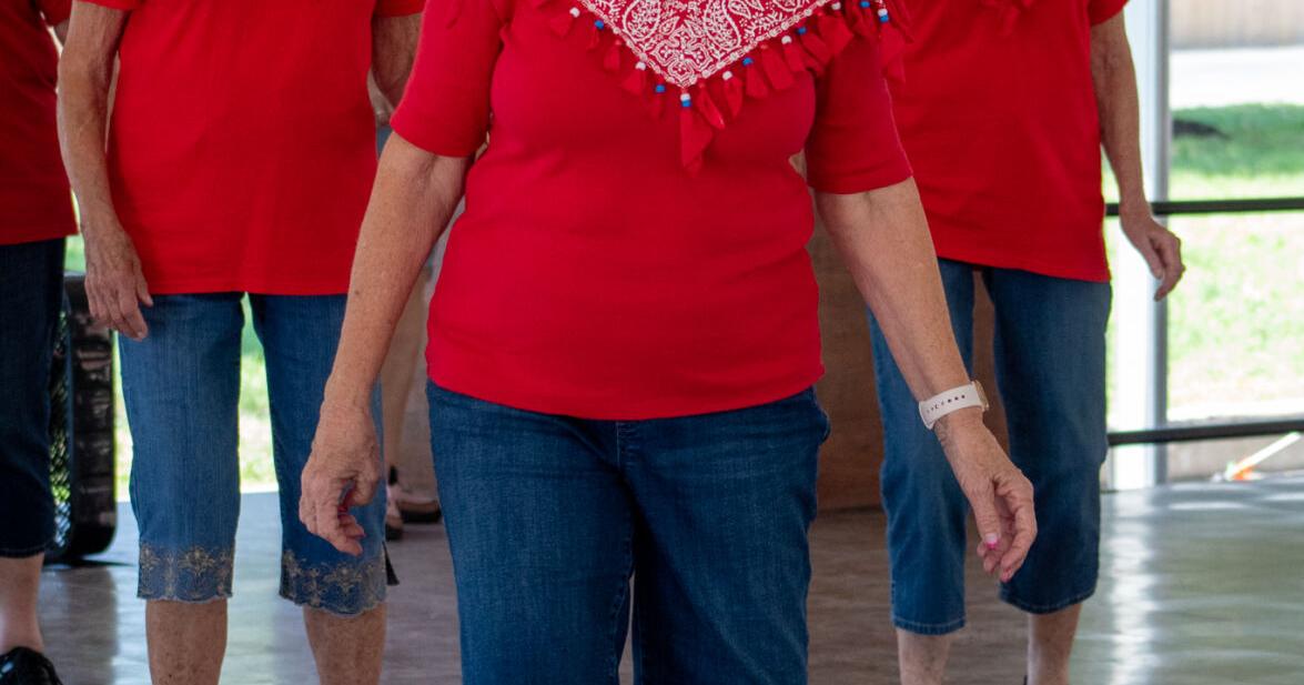 These state fair line dancers are a Fun Bunch - Vimarsana News