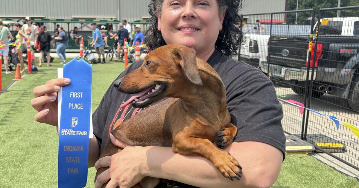 A wiener dog named Skinny Lenny wins the Indiana State Fair's latest doxie derby