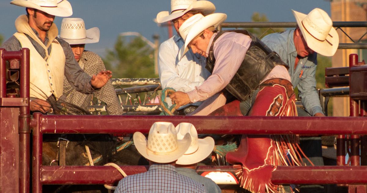 Wv State Fair Rodeo State fair rodeo riders live every kid's cowboy dreams | Features ...