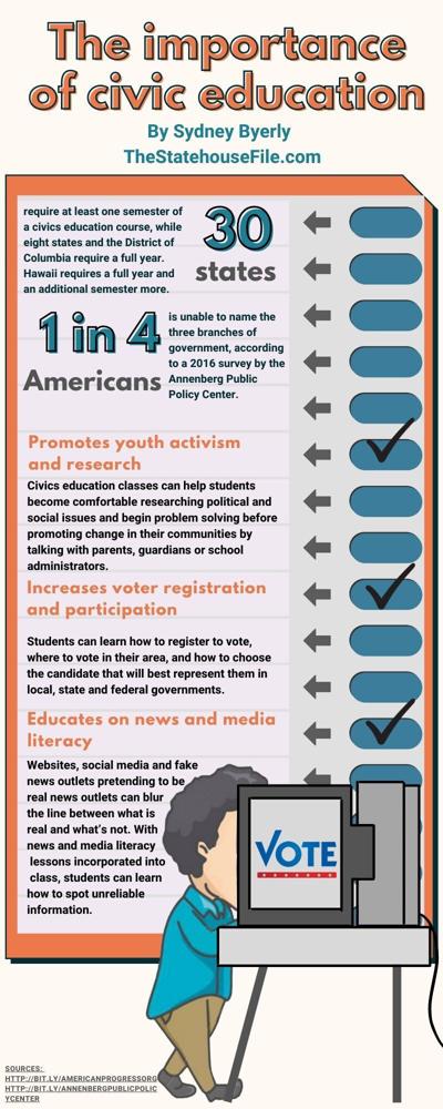 Graphic: The importance of civic education | Politics ...