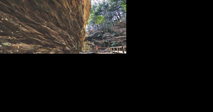 Failed tourism improvement district bill promises to reappear in 2025 - Vimarsana News