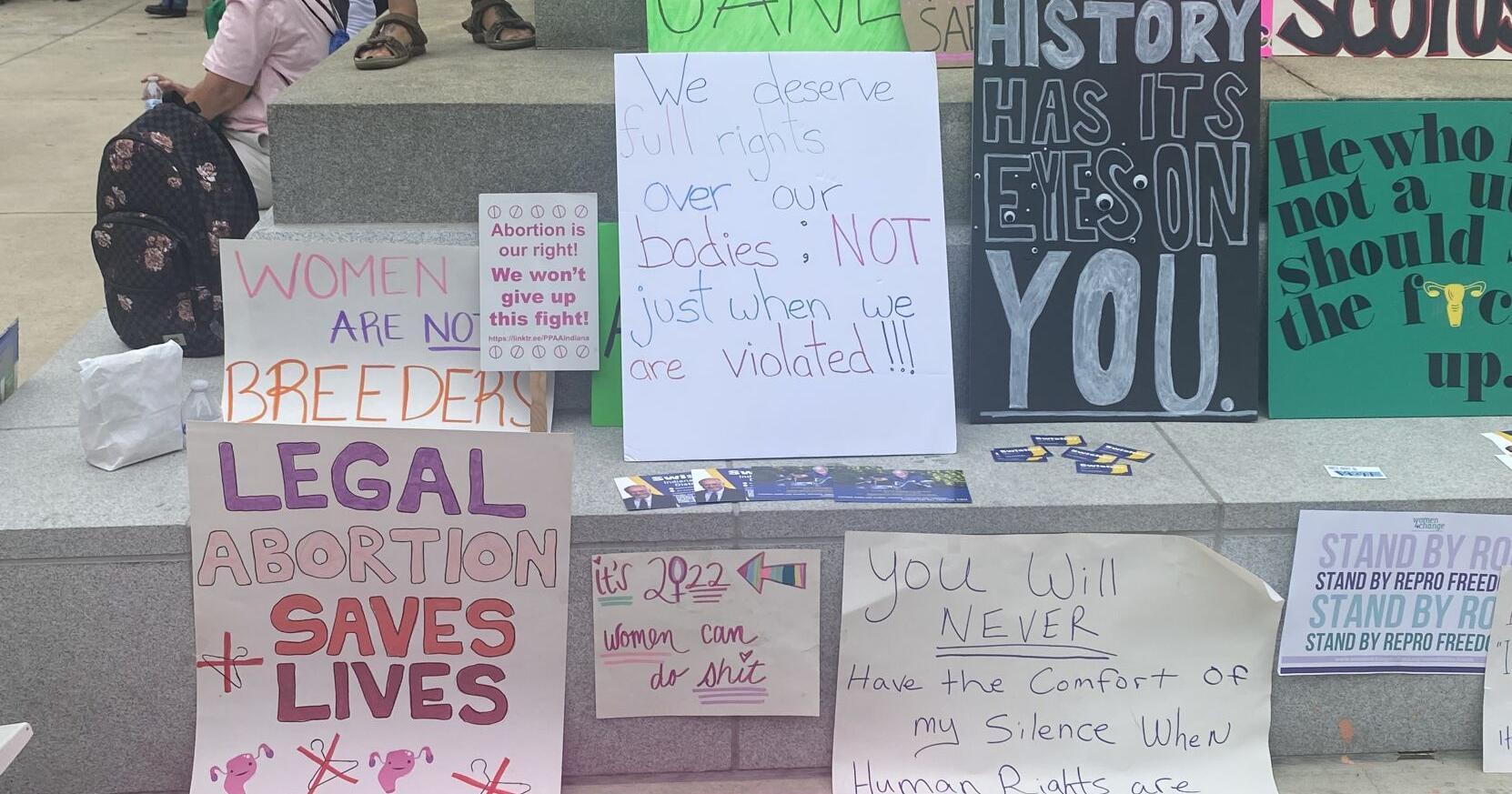 Signs of the time: Protesters debate in quips and cartoons - Vimarsana News