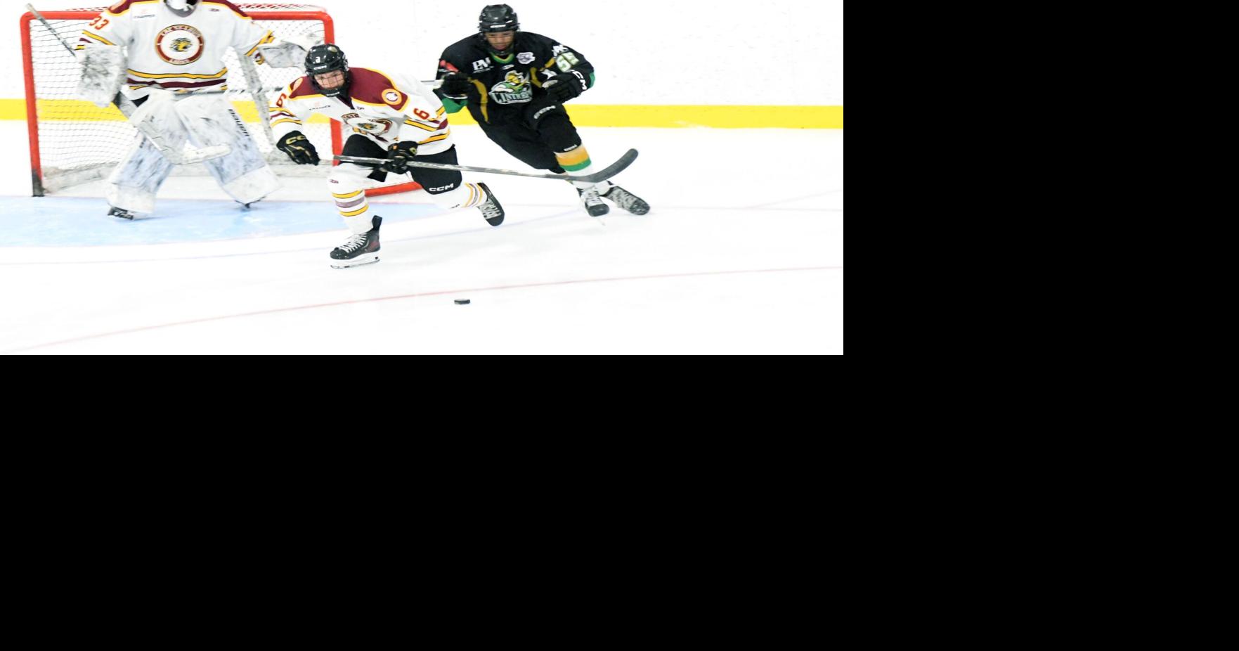 Lions' busy week of pre-season play