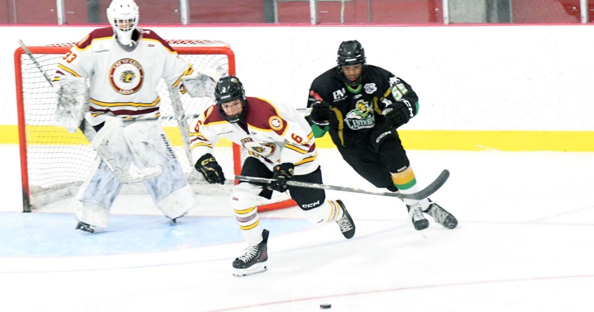 Lions' busy week of pre-season play