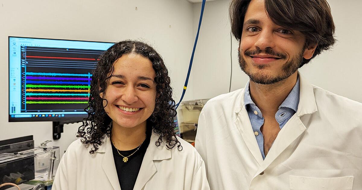 Top US scholar in town to help Montreal team develop a breakthrough brain implant to boost mobility after spinal cord injuries - Vimarsana News