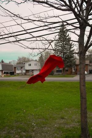 Pincourt marks Red Dress Day with public displays 3