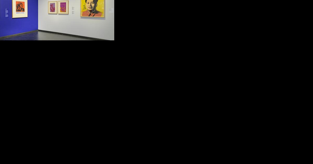 MMFA puts its Pop Art collection on display - Vimarsana News