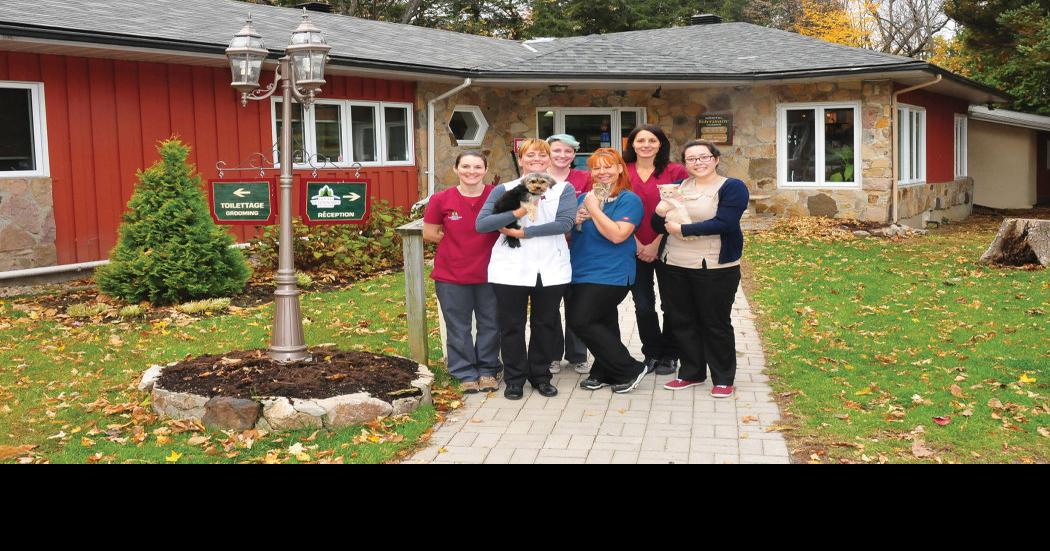 Hudson Veterinary Hospital cares for man’s best friend Business Profiles