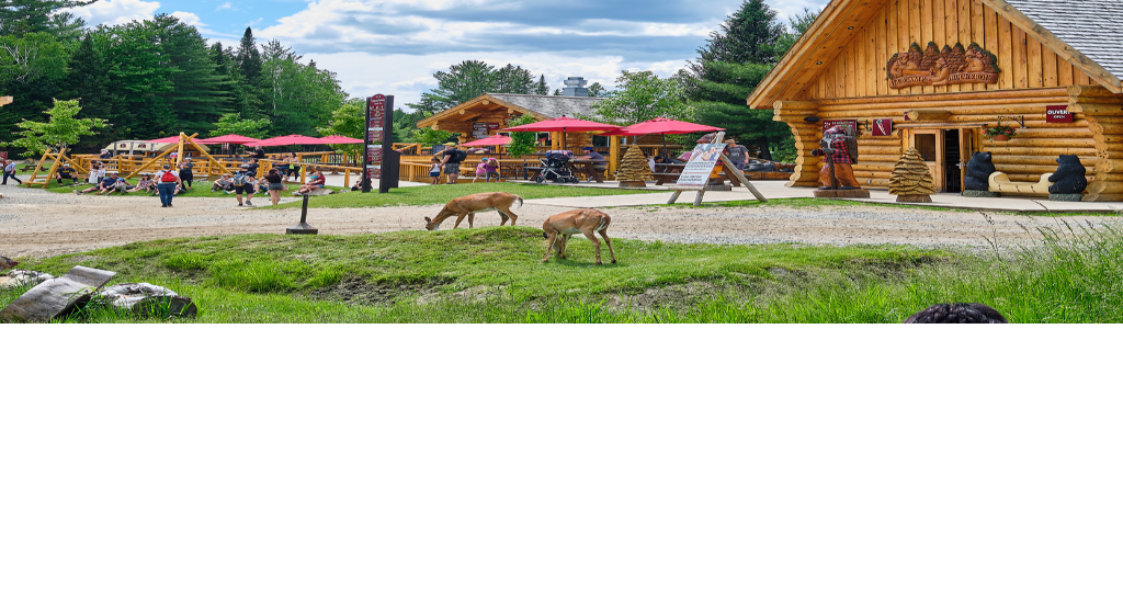 Parenting 101: 4 Weekend getaways that are two hours or less from Montreal