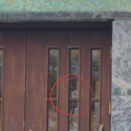 Another Montreal synagogue and school fired upon - Vimarsana News