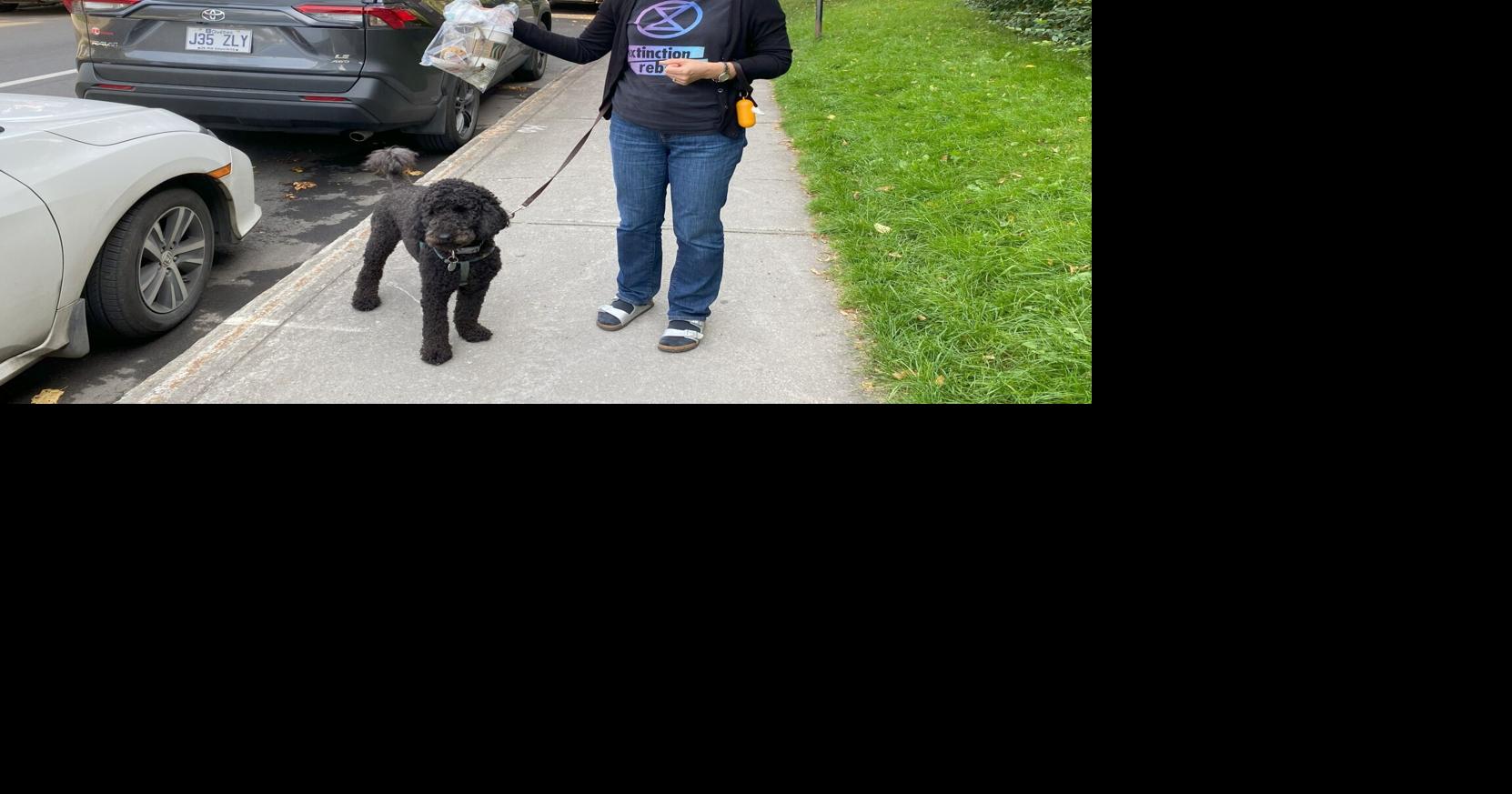 A bag of trash a day on Snowdon streets City News