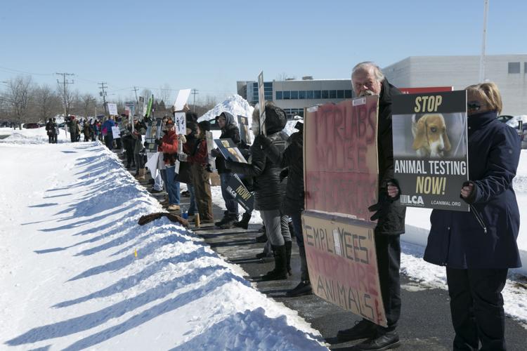 Animal advocates protest Baie d'Urfe's ITR Labs West Island News