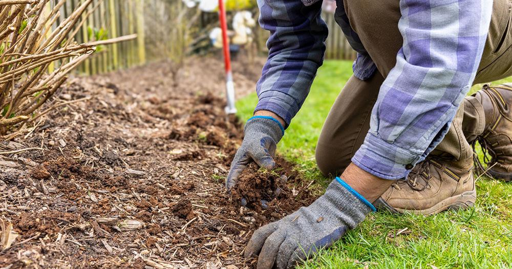 Jeremy Wexler: Getting started in the garden