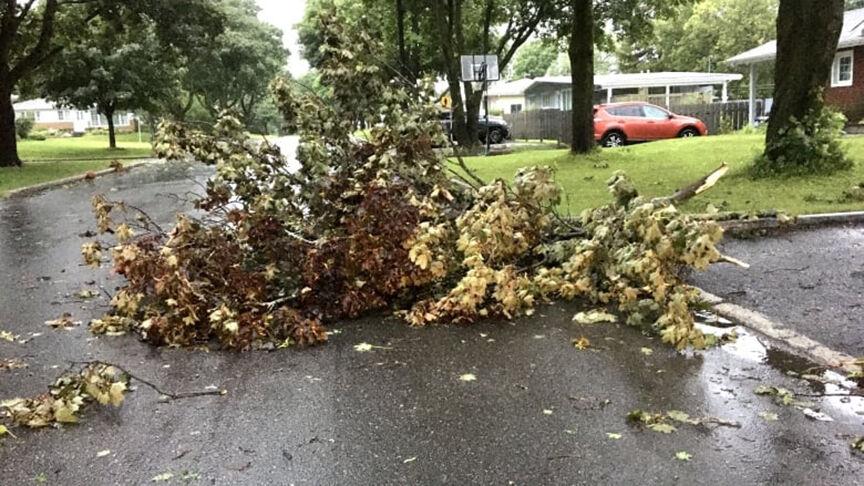 Over 45 000 Hydro Quebec Customers Lose Power From Isaias Suburban Weather Thesuburban Com