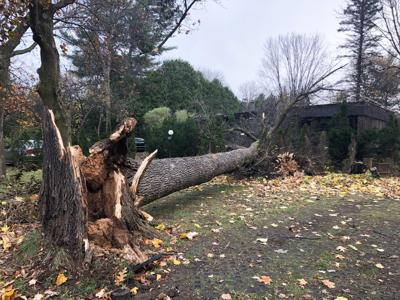 Over 900 000 Without Power In Quebec As Winds Top 100km H