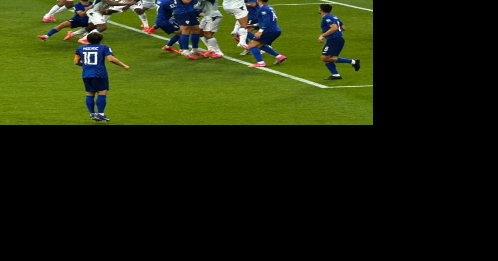 A wild and wonderful World Cup experience