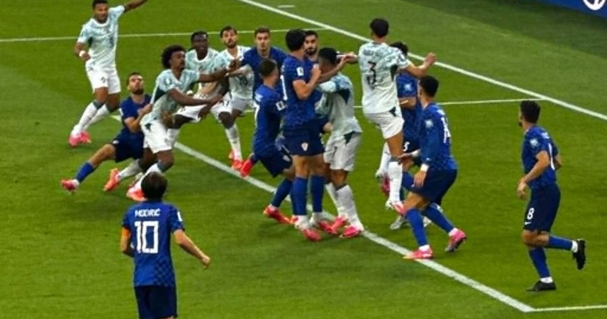 A wild and wonderful World Cup experience