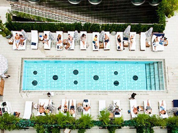 Ripley’s Believe it or Not! Rupert Jee, The Dream Hotel Pool & Yankee ...