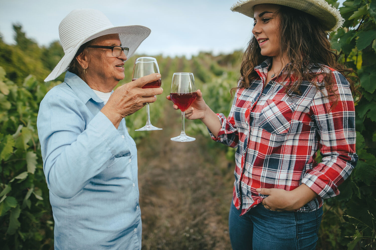 Mandi Robertson: Wines of Argentina — Finding success through sustainability - Vimarsana News