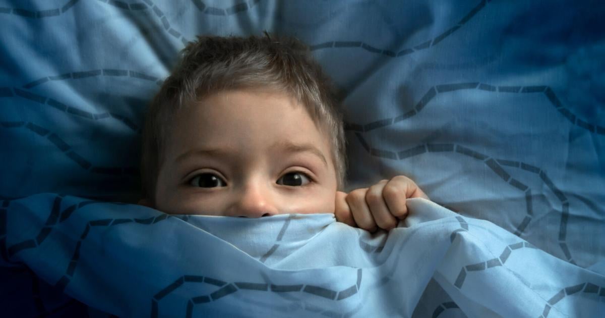 fever dream meaning