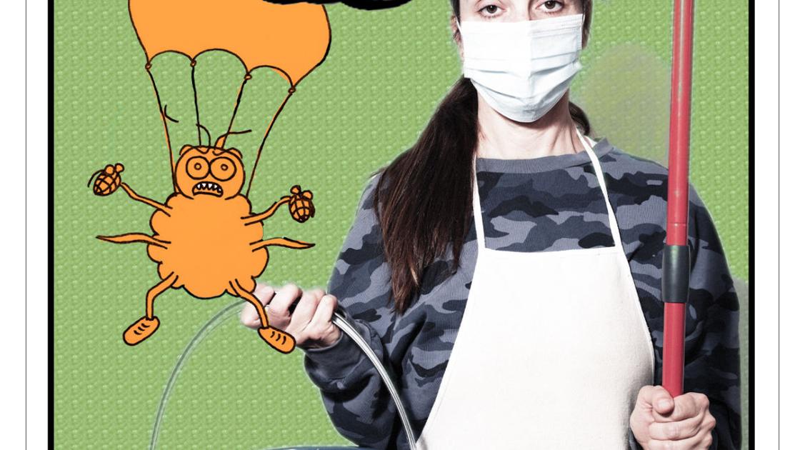 Bedbugs: “It is maddening!” | Metropolis Information