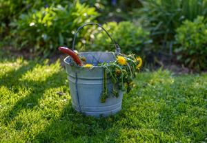 Jeremy Wexler: Getting into the weeds