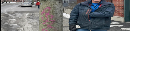 CaPQ introduces candidate for Ste. Henri-Ste. Anne by-election - Vimarsana News