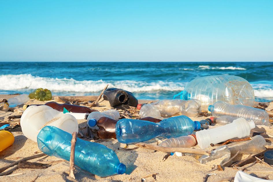 Canadians call to end the plastic disaster Lifestyles
