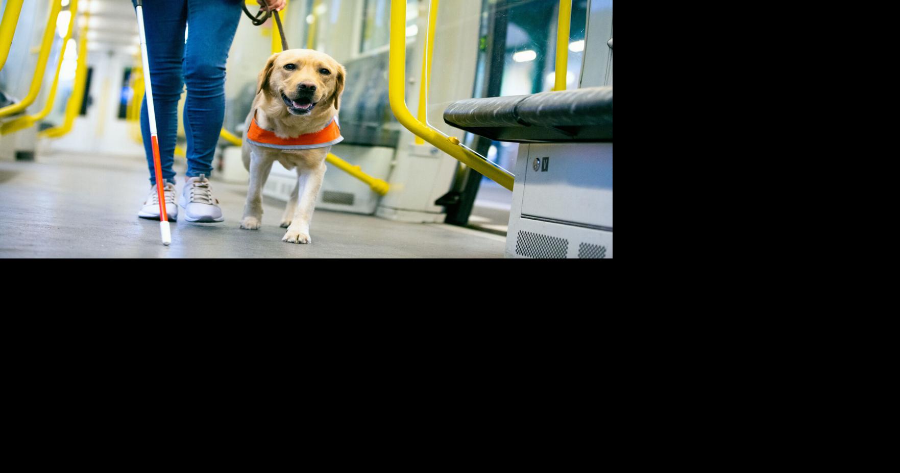 Service dogs cost a lot of money, and the government should help ...