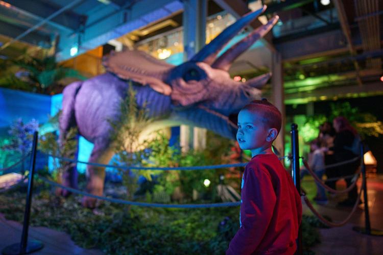 Dinosaurs invade the Montreal Science Centre Lifestyles