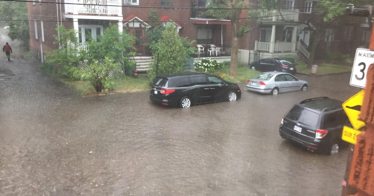 Snowdown Rd Long awaited work coming to Snowdon neighbourhood | City News ...