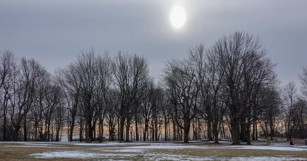 Snow and cold return to Montreal for the start of 2025