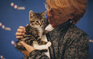 Around Town Laval News Thesuburbancom