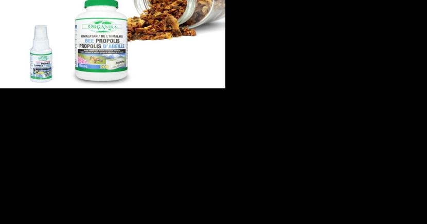 Healthy Living With TAU: NATUROPATH'S FAVORITE CHOICE - Organika's Bee Propolis - Vimarsana News