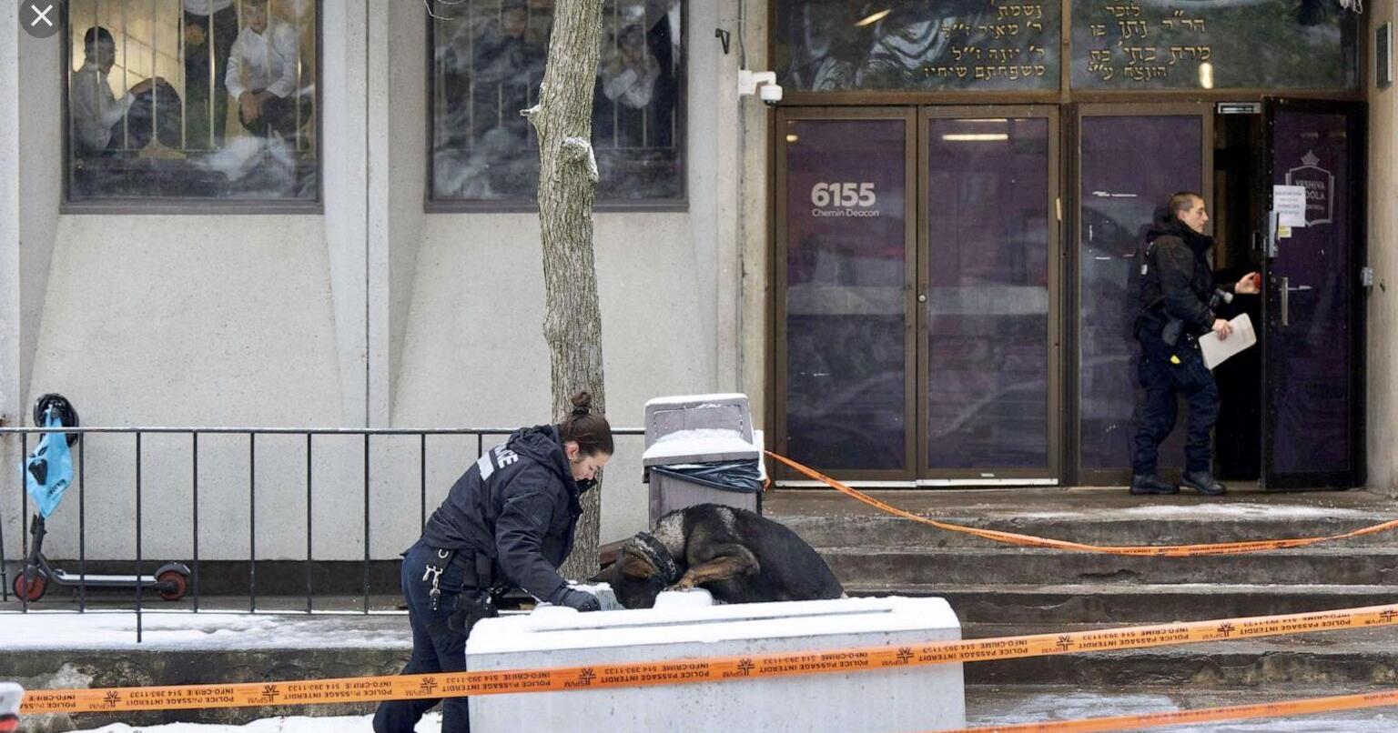 Suspect arrested in Yeshivah Gedolah shooting - Vimarsana News