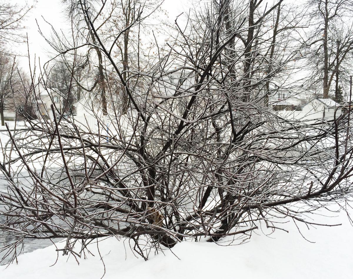 Snowstorm Forecast For Southern Ontario And Quebec Suburban