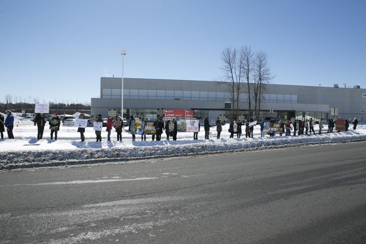 Animal advocates protest Baie d'Urfe's ITR Labs West Island News