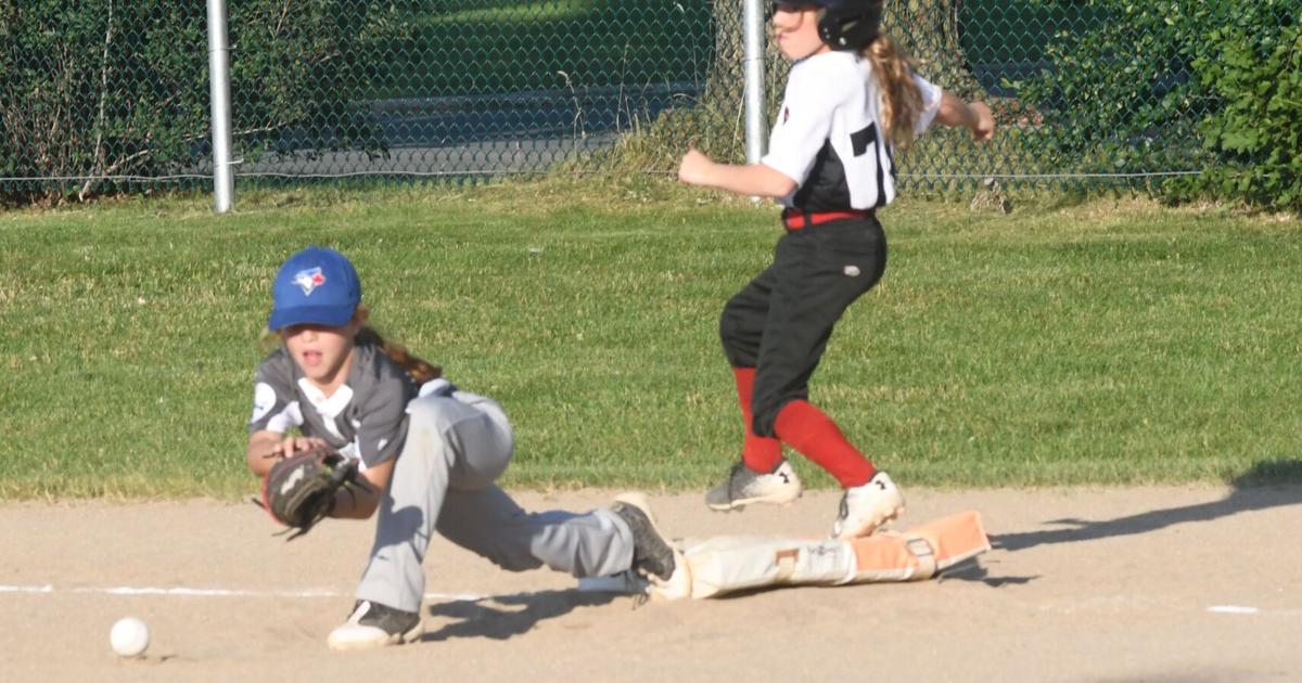 Blue Jays bop past Bobcats in 9U B baseball