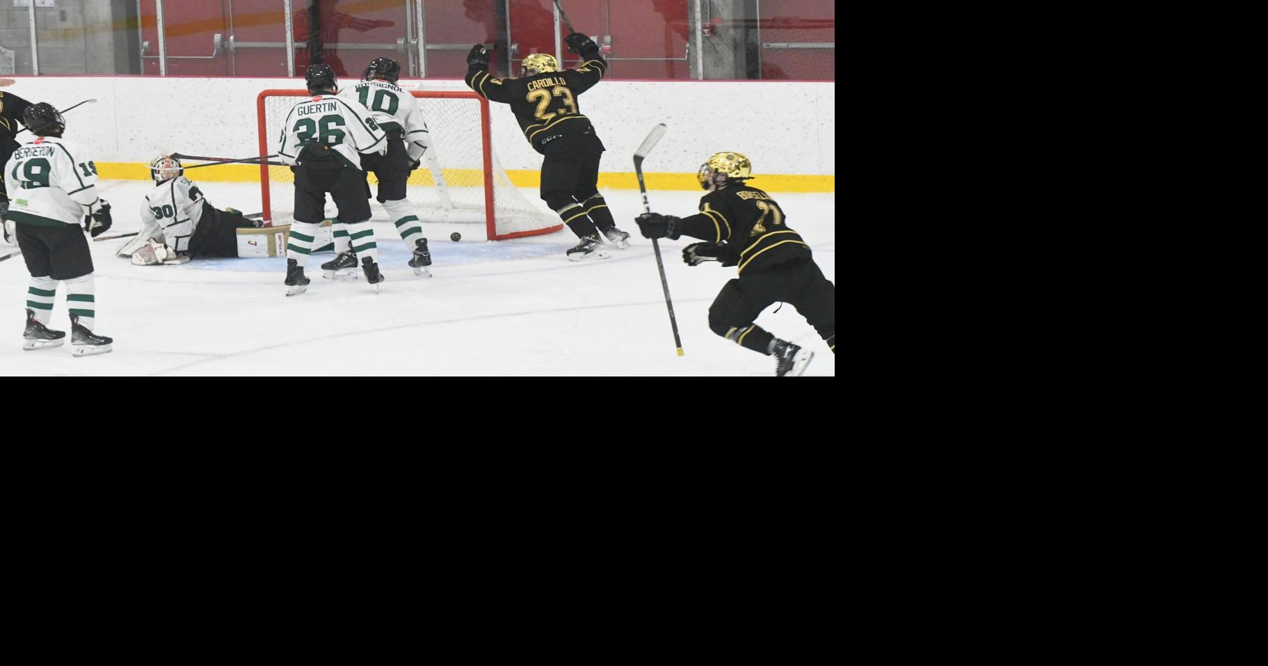 Lions open season with a pair of wins