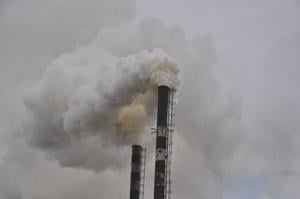 Air pollution may explain regional gaps in sperm quality,