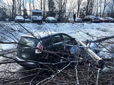 Widespread power outages caused by strong winds | Suburban Weather ...
